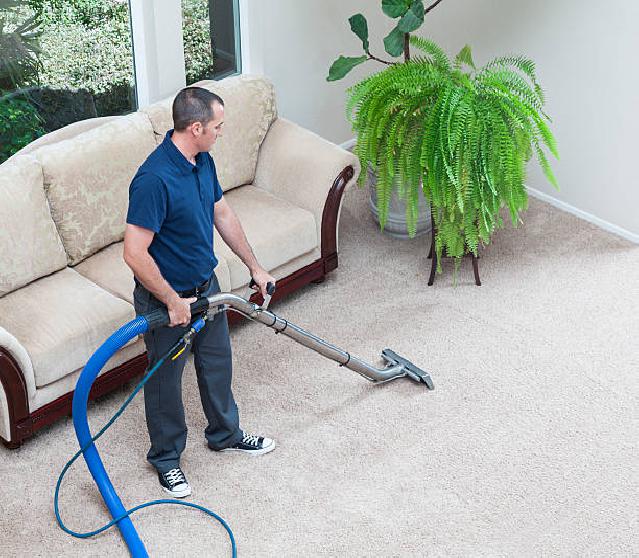 Professional Carpet Cleaning Services Philadelphia